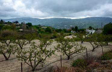 Muslim village in the mountainous part of the island of Cyprus in early spring.