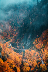 The coronavirus pandemic and the restrictions of international tourism made my longing for travel worse, so I set off with my husband on a day trip by off-road car, admiring the autumn.