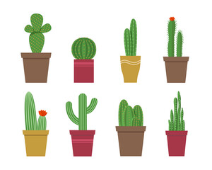 Set of cacti in pots of different types on a white background. Isolated.