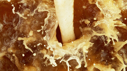 Fototapeta premium Pouring beer on macro shot