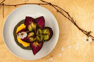 A floral composition with a pumpkin laying on the white plate on the wooden background