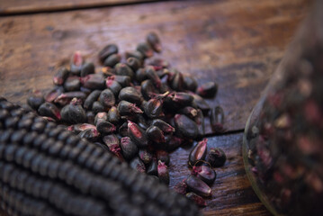 Different species and colors of corn on wooden table. Corn for tortillas on wooden table. Mexican food.