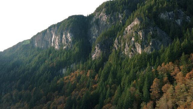 Majestic Mountain Aerial of Autumn Color Trees Below Tall Rocky Cliffs