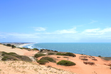 
Beach landscape in Morro Branco, Ceará, Brazil