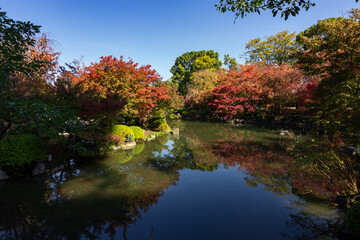 To-ji temple in Kyoto in autumn (Japan)