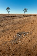 Drought landscape in Outback Queensland
