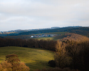 Naklejka premium landscape of hills and forest