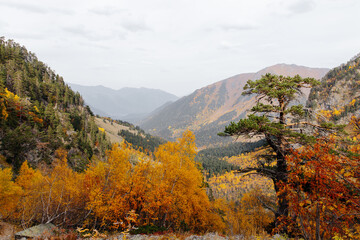autumn mountain views