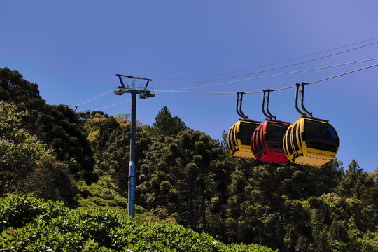 trio of red and yellow cable cars, operating at Caracol Park - Canela, RS, Brazil.
