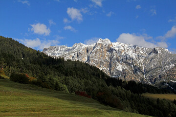 Fototapeta na wymiar i prati sopra Cavalese e i Cornacci; Val di Fiemme, Trentino