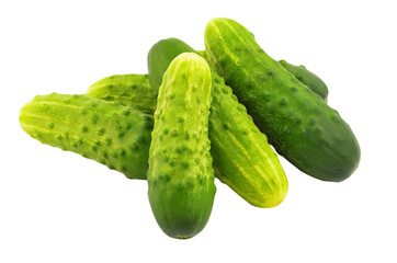 Green cucumber gherkin