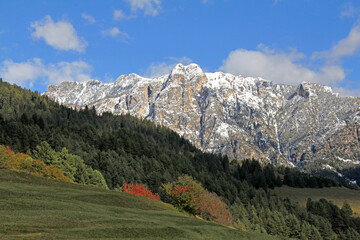 Obraz premium i prati sopra Cavalese e i Cornacci; Val di Fiemme, Trentino