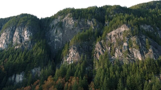 Orbiting Aerial of Massive Mountain Cliffs in Thick Evergreen Forest Trees