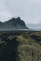 Iceland landscape in Summer