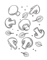Monochrome champignons and basil leaves, vector hand-drawn outline illustration