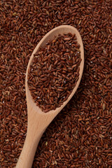 GABA rice in wooden spoon lying on grains. Germinate brown rice. Selective focus, copy space