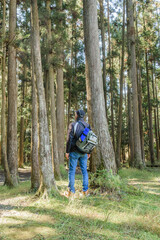 Fototapeta premium 中高年の健康管理 ハイキング