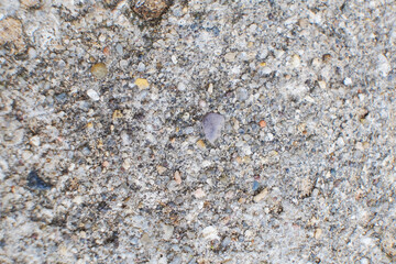 Rough stone wallpaper. fine texture of sand and stones.
