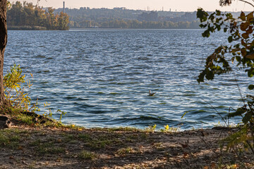 Autumn landscape in the park by the river on a sunny day.