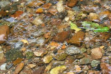 Stones in a creek