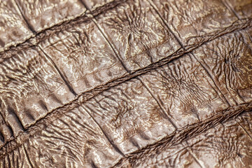 Texture of genuine reptile leather close-up, bronze khaki color. Trendy pattern