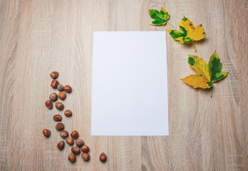 Autumn still life. Blank copy space card mockup of an autumn composition with hazelnuts and fall leafs. Fall and Thanksgiving concept. Styled stock flat lay photo. Top view, vertical.