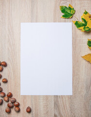 Autumn still life. Blank copy space card mockup of an autumn composition with hazelnuts and fall leafs. Fall and Thanksgiving concept. Styled stock flat lay photo. Top view, vertical.