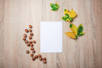 Naklejka na ściany i meble Autumn still life. Blank copy space card mockup of an autumn composition with hazelnuts and fall leafs. Fall and Thanksgiving concept. Styled stock flat lay photo. Top view, vertical.