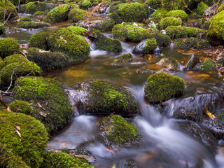 Composite of multiple long-exposure images of the stream of a brook with rocks and logs covered in moss, captured at the hillside of the Iguaque mountain in the central Andes of Colombia.