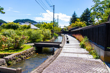 水路を泳ぐ鯉と散歩道