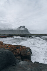Fototapeta na wymiar Iceland landscape, Coastline and nature in summer.