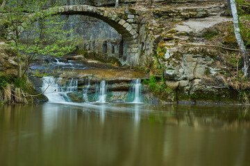 Stone bridge in the forest