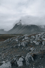 Iceland landscape, Coastline and nature in summer.