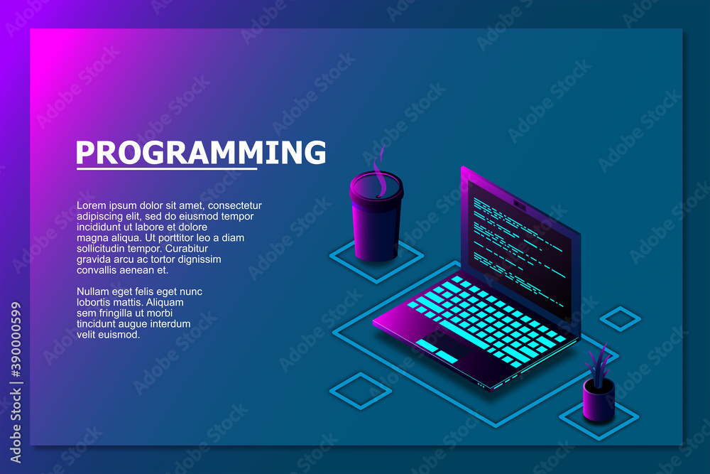 Fototapete Programming or Software development web page template. Vector illustration with laptop isometric view and program code on screen. Programming concept. vector illustration