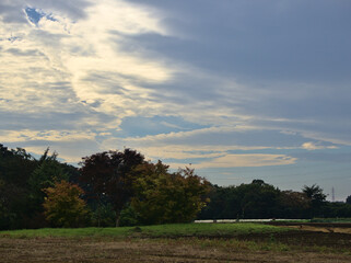 田舎の秋