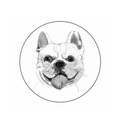 Cute French bulldog, sketch placed in a round frame. Vector graphics.