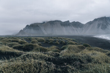 Iceland landscape, Coastline and nature in summer.