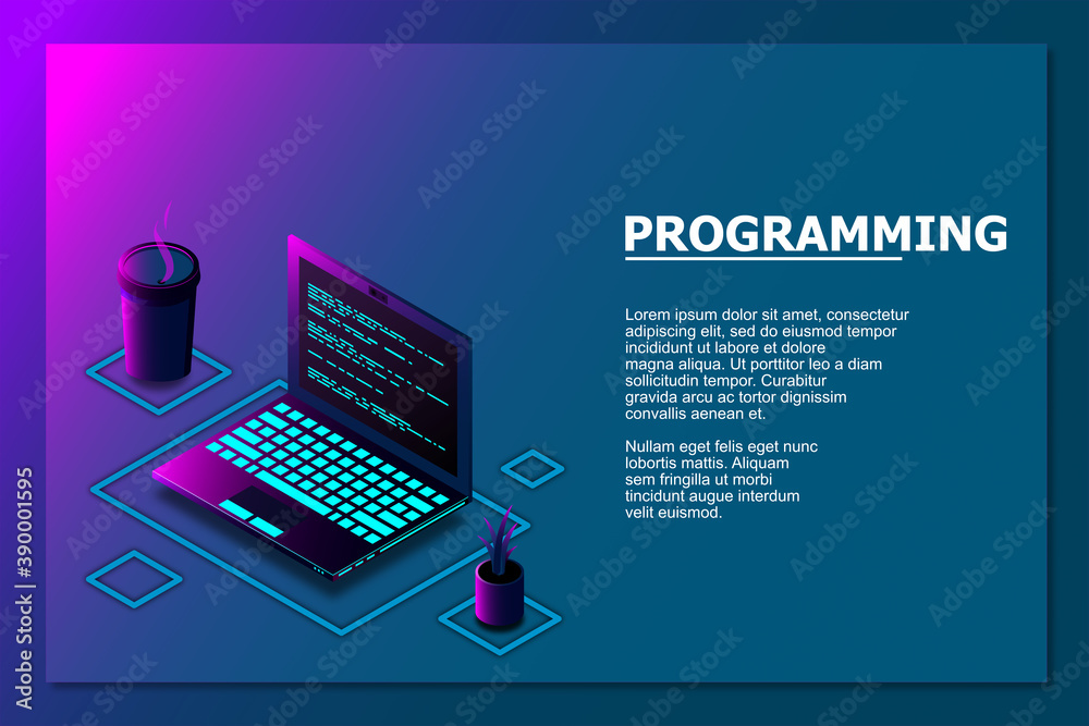 Fototapete Programming or Software development web page template. Vector illustration with laptop isometric view and program code on screen. Programming concept. vector illustration