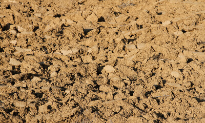 Detail of land or agricultural land recently plowed 