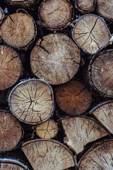 Fototapeta premium A Pile of Logs in the Backyard on the Sunny Summer Evening - Vintage Film Look