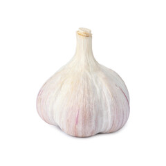 Fresh organic garlic bulb on white background