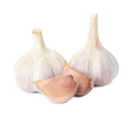 Fresh organic garlic bulbs and cloves on white background