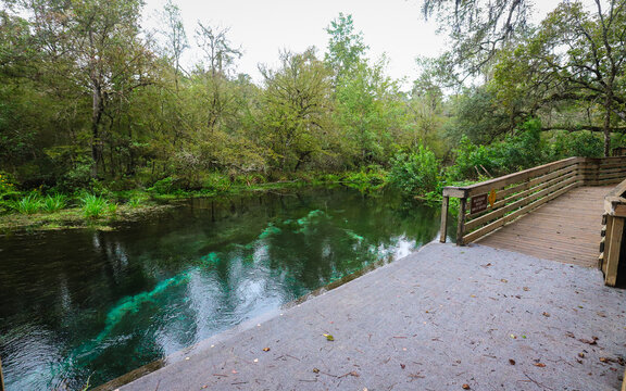 FORT WHITE, FLORIDA, UNITED STATES - Oct 21, 2018: Ichetucknee Springs River Float Access Point