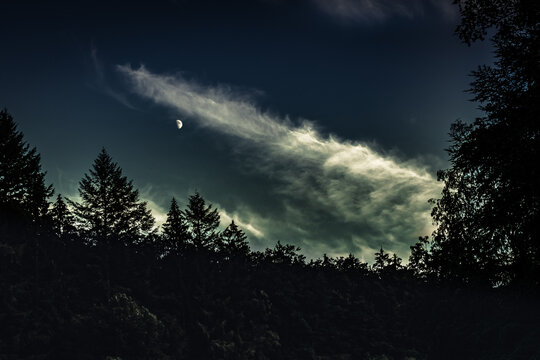 evening setting in over the trees with moon and clouds