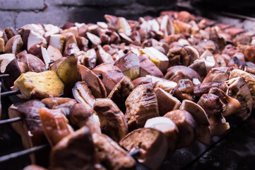 Many mushrooms are dried on the stove. harvesting mushrooms for the winter.