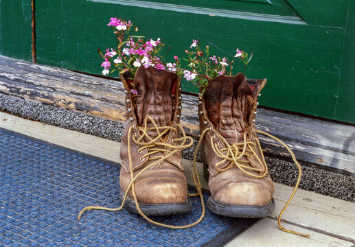 Vertical photo of a pair of old boots with wildflowers inside the boots