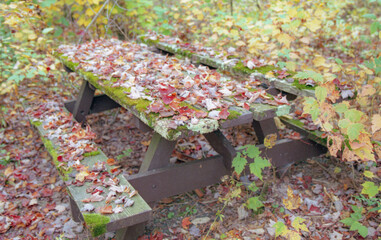 picnic table covered in leaves