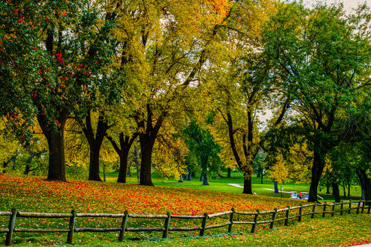 Fall Foliage Elmwood Park Omaha