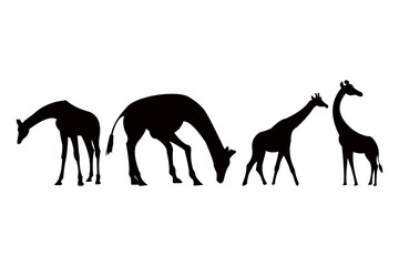 giraffe silhouette icon vector set for logo