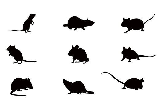 mouse silhouette icon vector set for logo